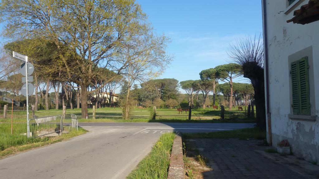 Ulivo Della Querce Villa Querce  Exterior photo